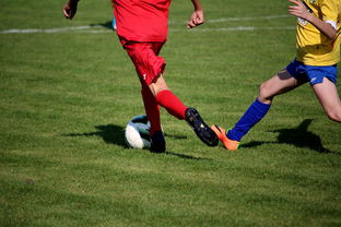 乐鱼体育官网投注-跨年比赛：如何影响球队的赛季布局，跨年比赛_如何影响球队的赛季布局和胜负