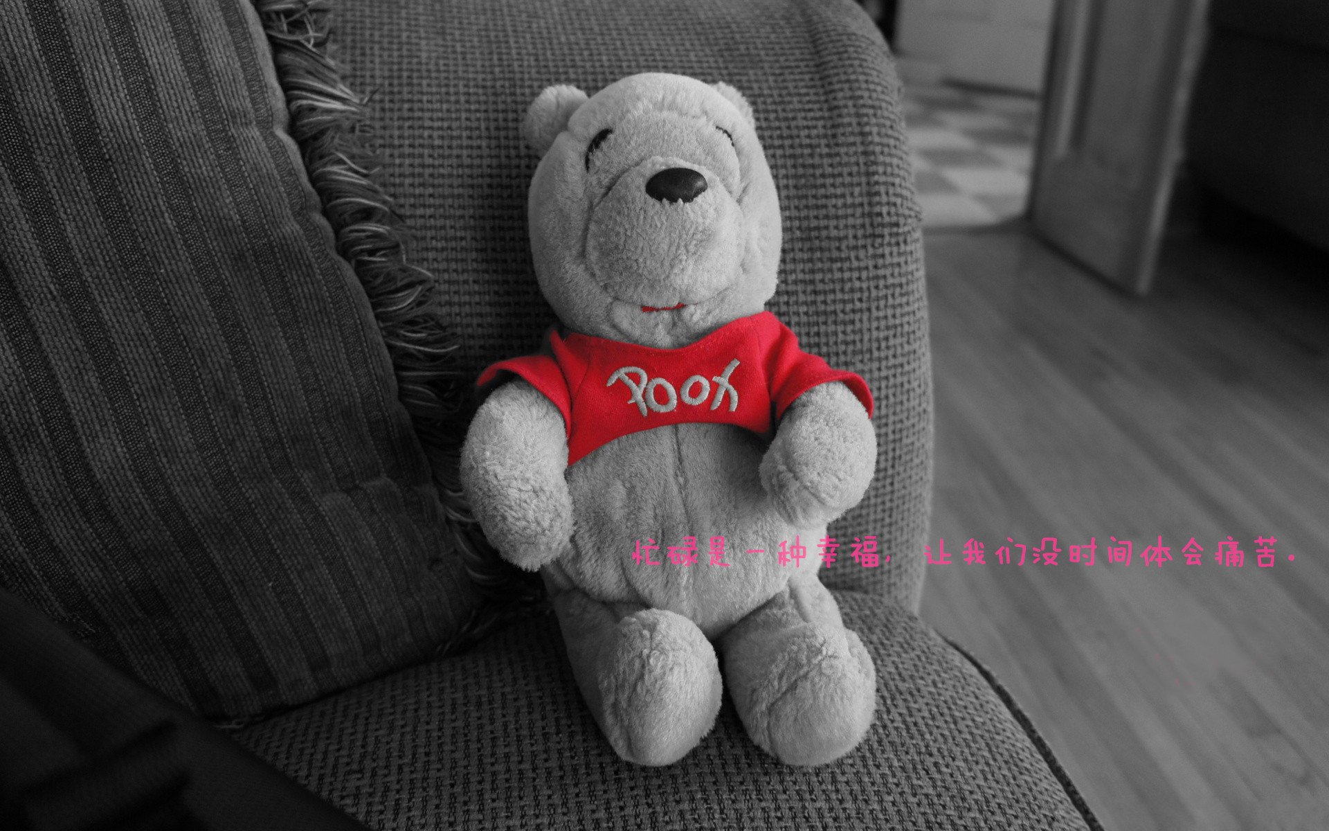 乐鱼官网-“新都香城赛场，福乐球决赛迎来激烈对决”