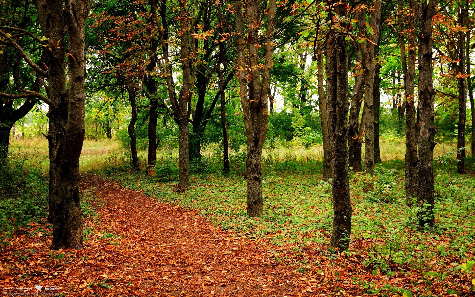 乐鱼体育下载入口-“短柄墙球：高新区全民健身馆赛场，战术布局与精准出击的完美结合”