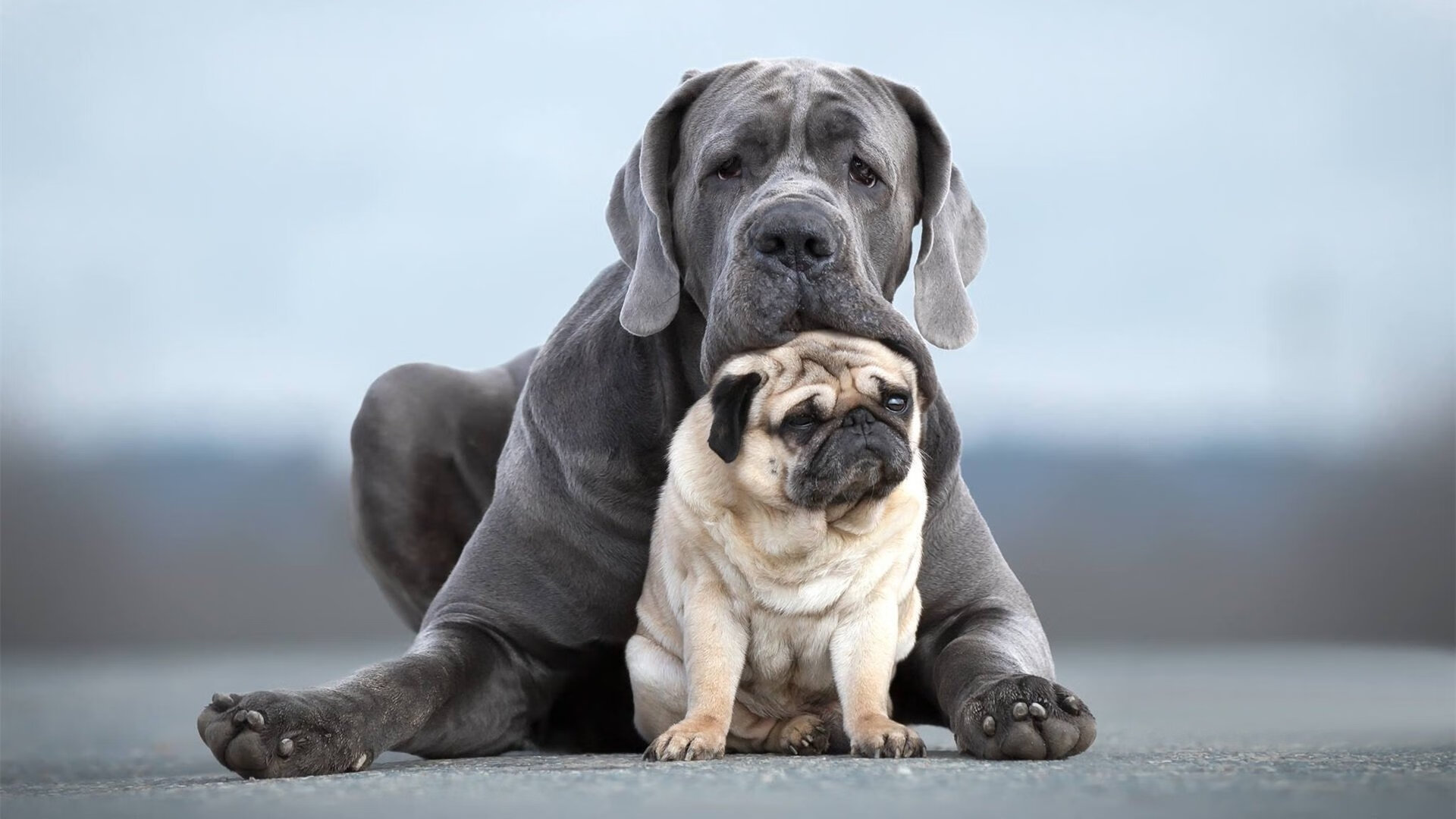 乐鱼体育官网登录-五大联赛是否出现进攻起点后移至中后场趋势，五大联赛开打