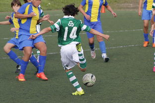 乐鱼体育下载app官网-体育新闻中心发布体育内容原创度评估智能工具，原创体育sports