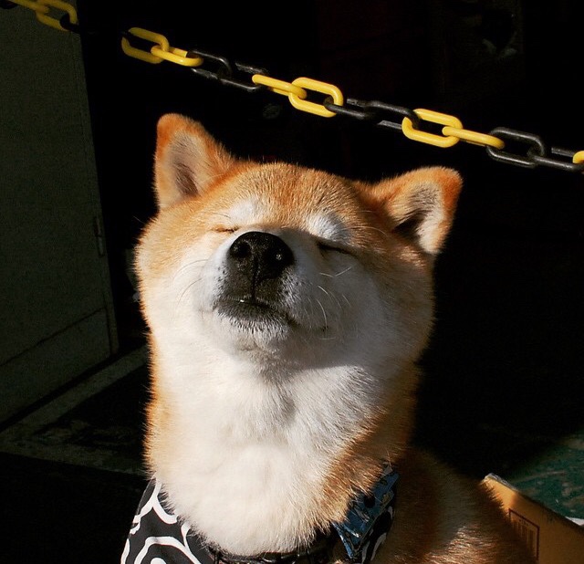 乐鱼体育平台-羽毛球双打组合配合默契成胜负关键，羽毛球双打配合的重要性