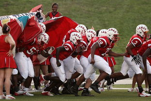 乐鱼app-青少年体育社团快速发展 激发校园活力，体育社团开展