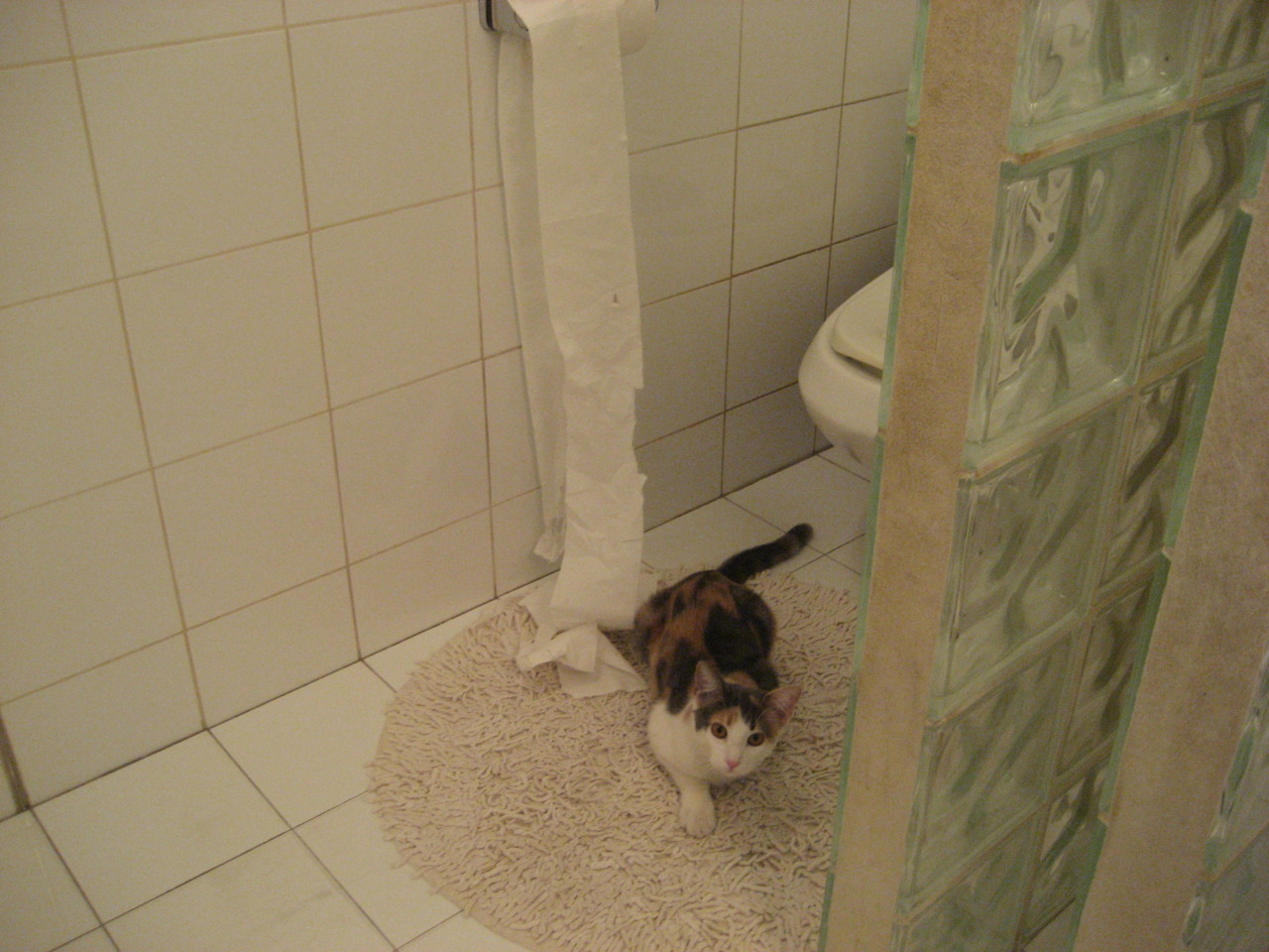 乐鱼体育官网优惠-“马科斯·莫奇的灵活防守与精准传球，助力阿根廷美洲狮队更具攻击性”