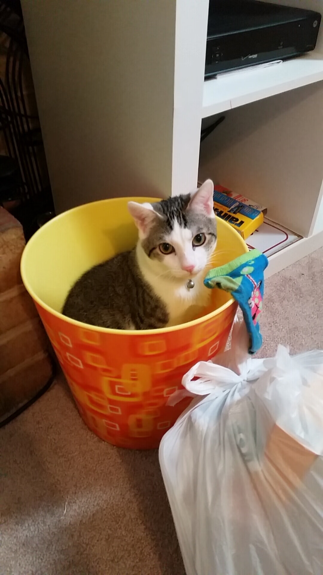 乐鱼体育入口-乌拉圭女篮在南美锦标赛中力争佳绩,为奥运冲刺