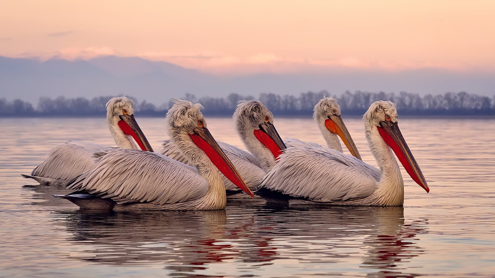乐鱼体育网址入口-体育新闻中心转会传闻汇集，体育新闻 体坛快讯