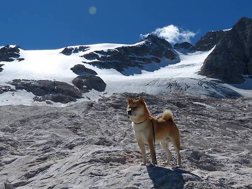 乐鱼体育在线网站-尤文图斯引援不断,中场实力显著获增强