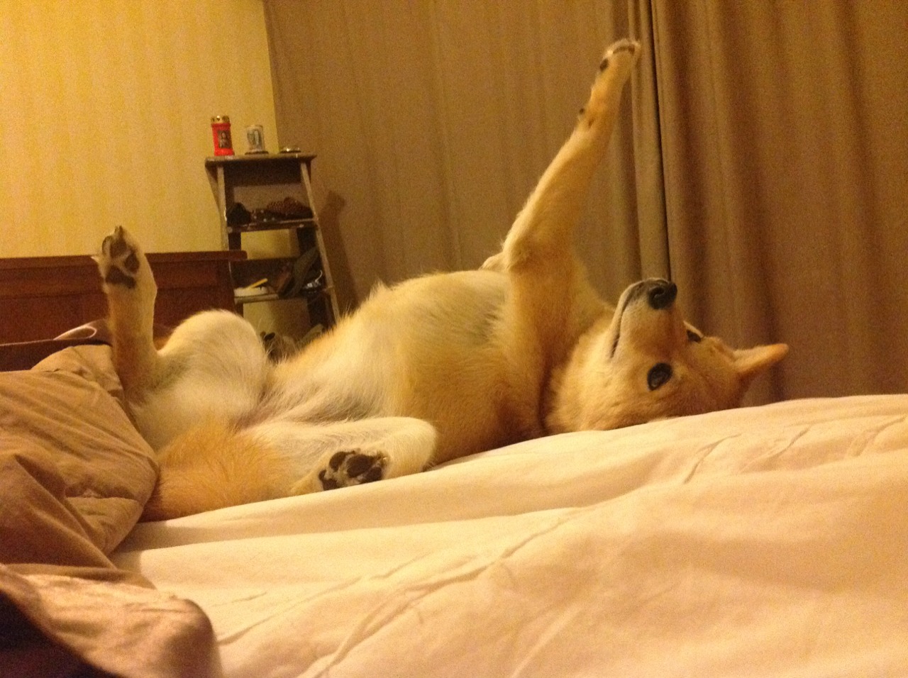 乐鱼体育入口-智能穿戴设备助力青少年运动健康,推动体育科技创新,智能穿戴设备方案