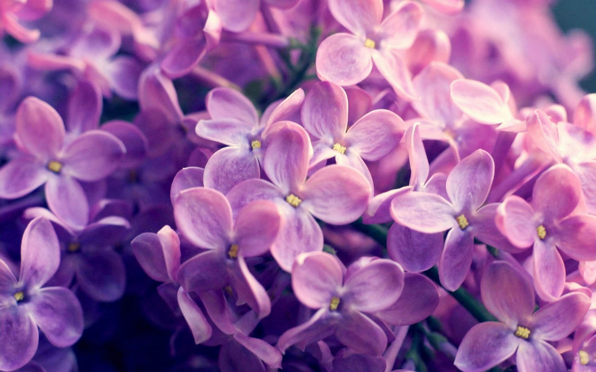 乐鱼官网安全-波波维奇决赛表现赢得教练高度评价，波波维奇集锦